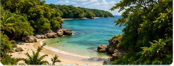 South Coast beach and nature adventure