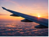 Flight to Jamaica