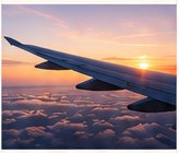 Flight to Jamaica
