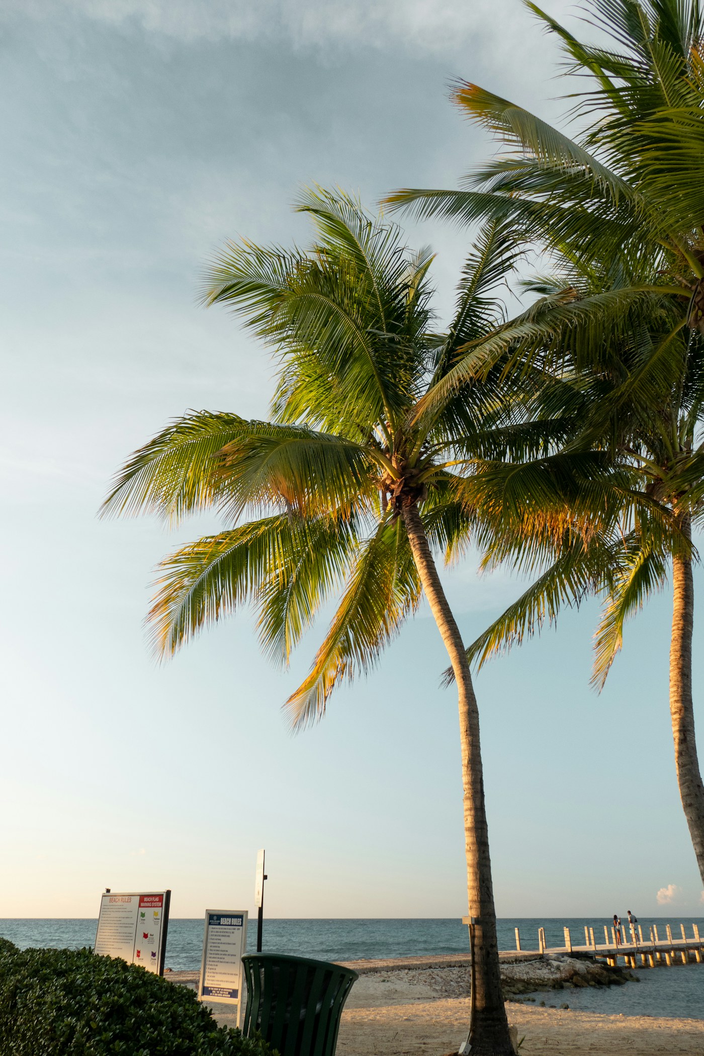 Palm-lined beach in Montego Bay