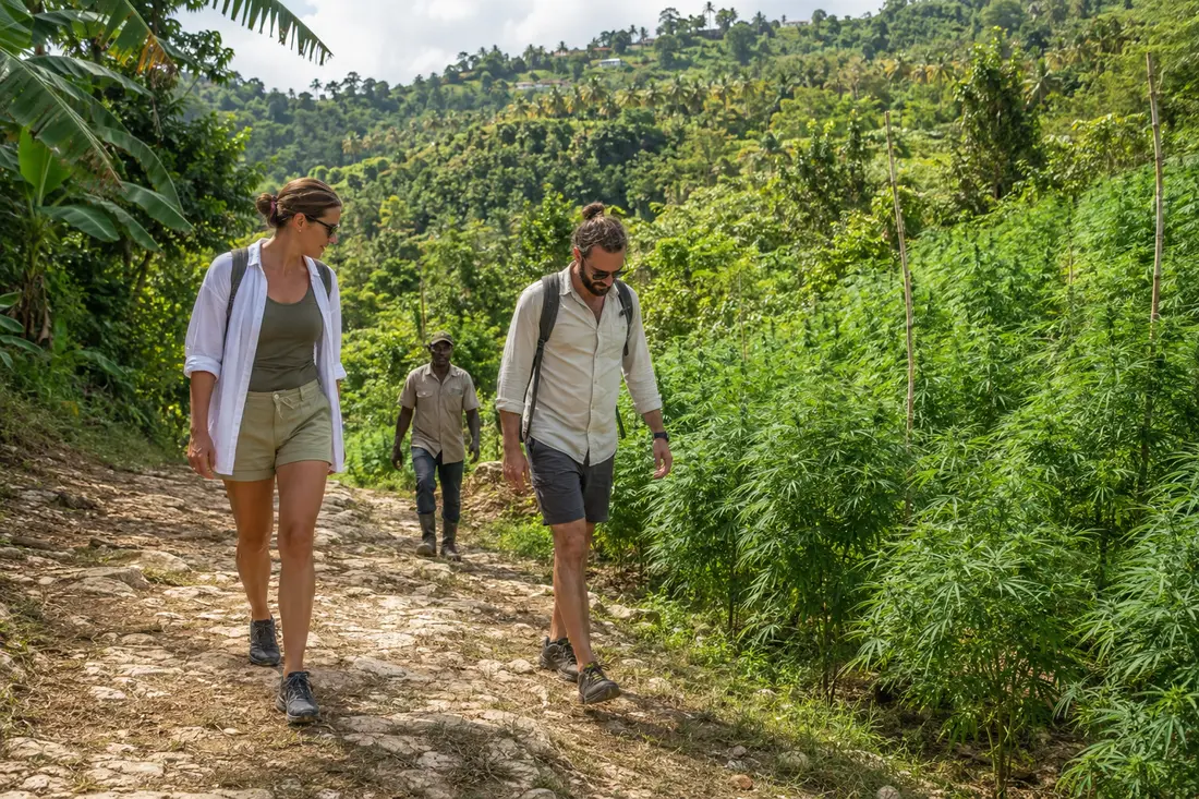 Tourists wearing practical shoes on a Jamaican hillside farm path