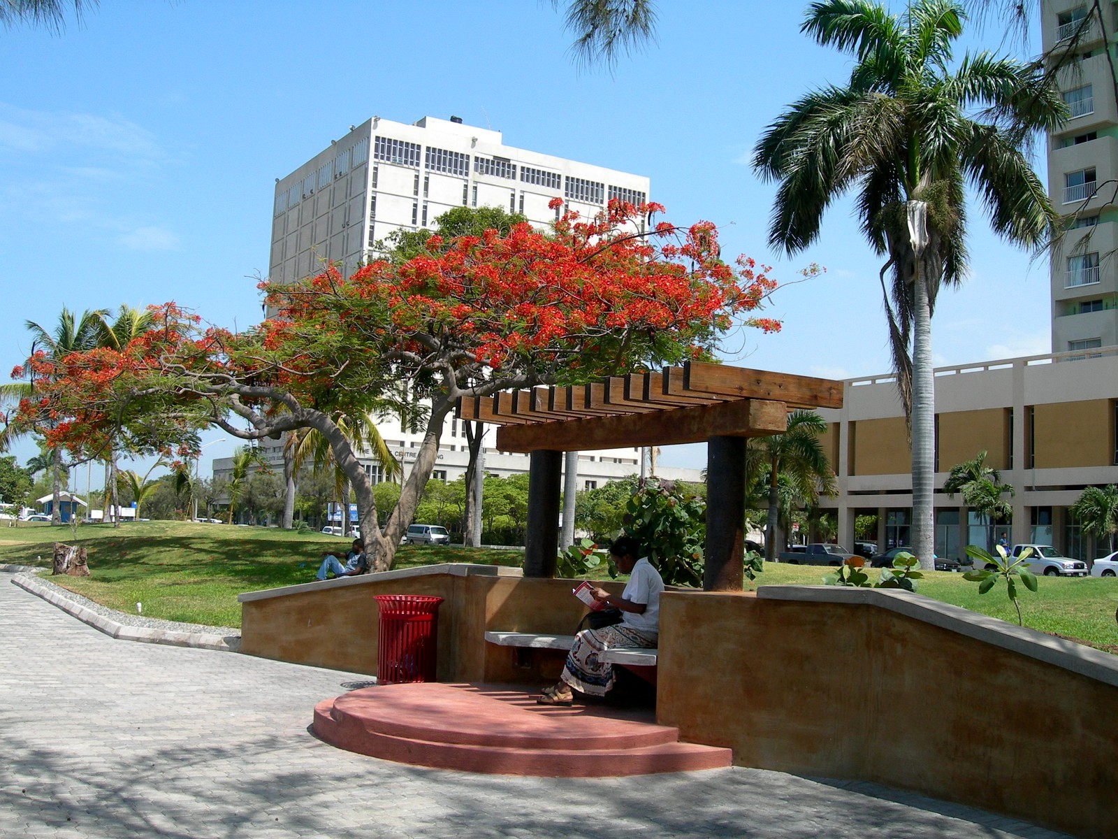 Landscaped public space in Kingston, Jamaica