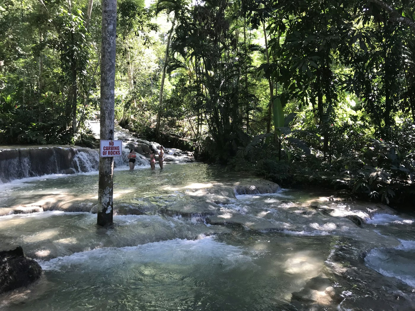A waterfall and lush landscape near Ocho Rios