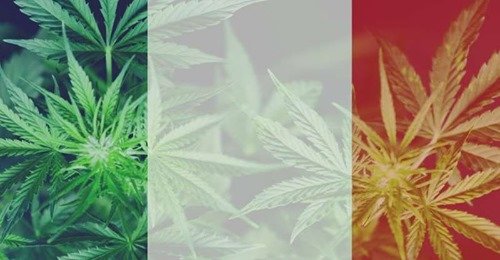 ganjavacations jamaica
