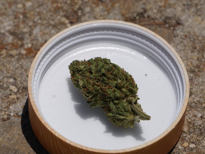 ganjavacations jamaica