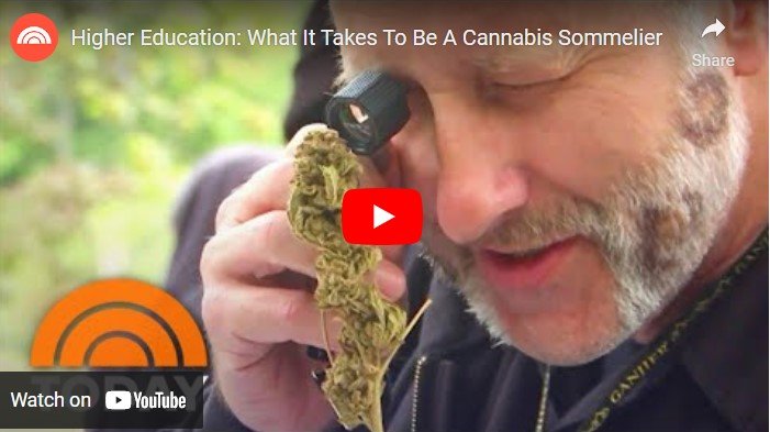 ganjavacations jamaica