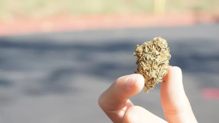 ganjavacations jamaica