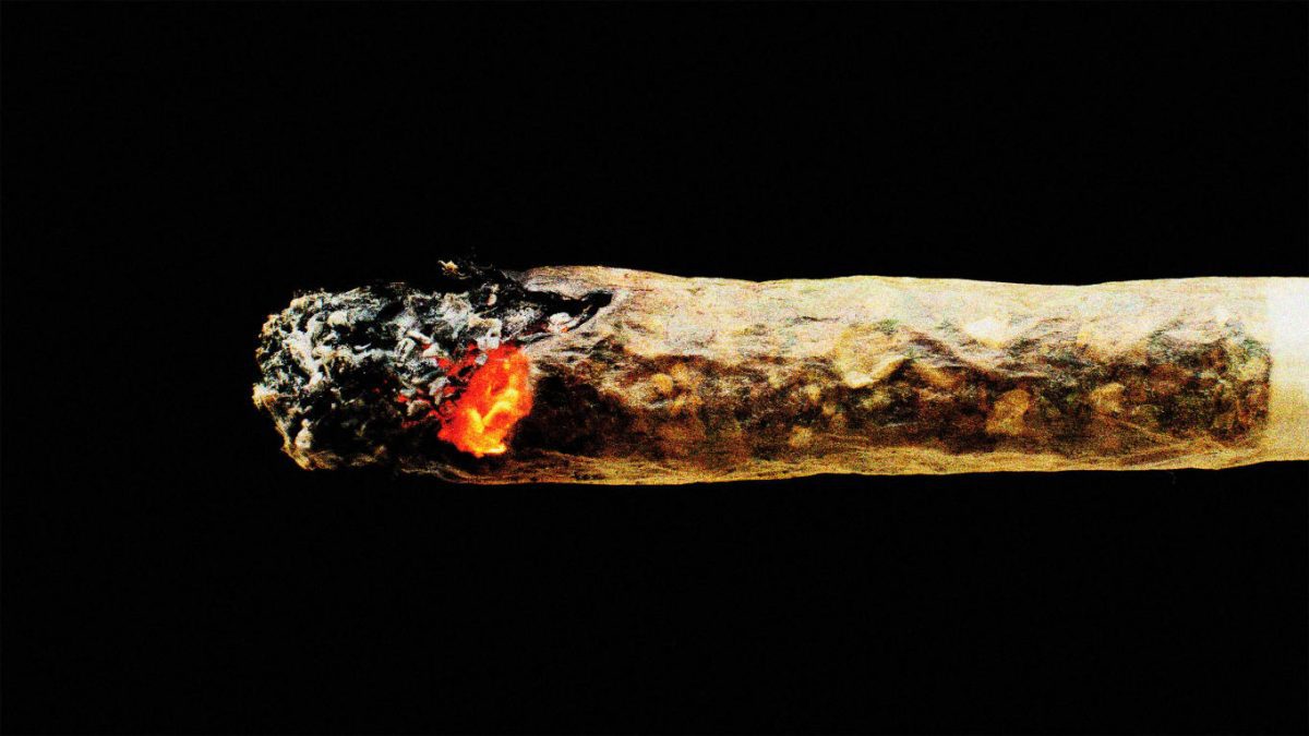 ganjavacations jamaica