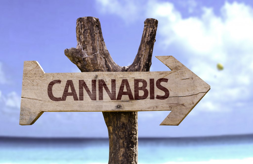 ganjavacations jamaica