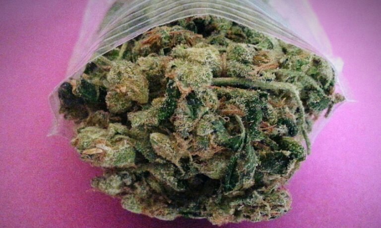 ganjavacations jamaica