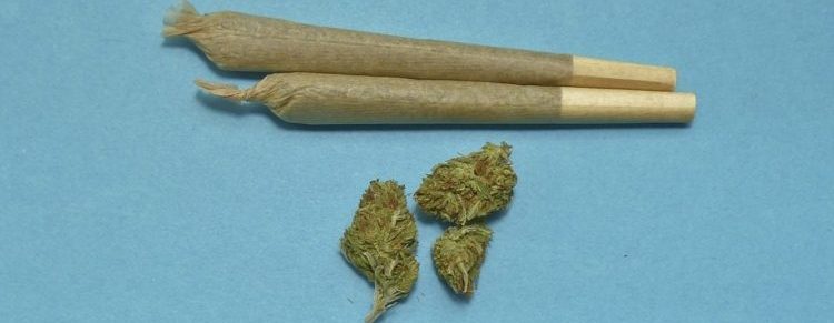 ganjavacations jamaica