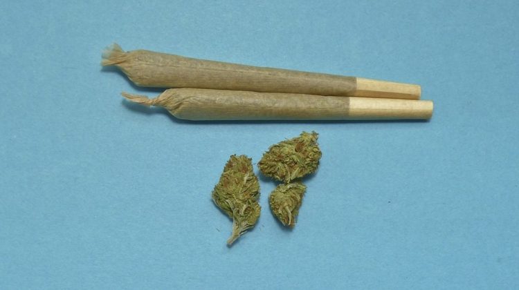 ganjavacations jamaica