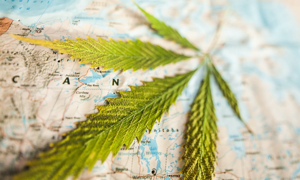 ganjavacations jamaica