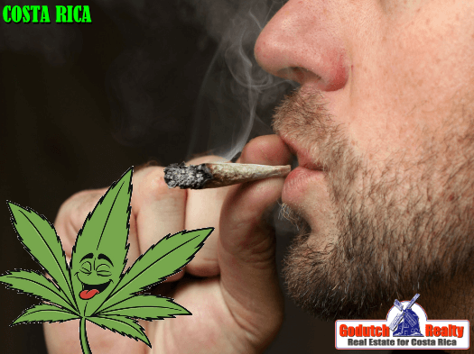 ganjavacations jamaica