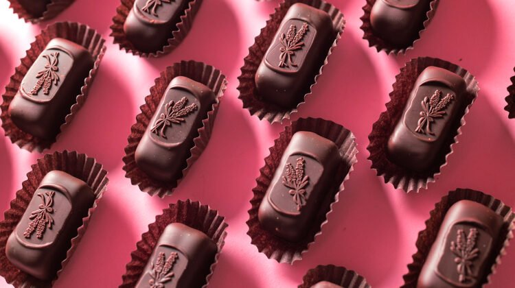 ganjavacations jamaica