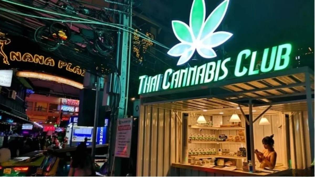 ganjavacations jamaica
