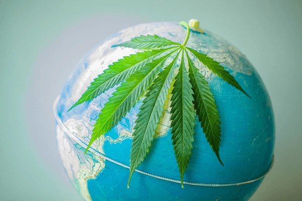 ganjavacations jamaica