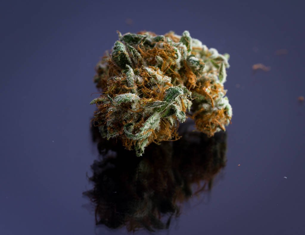 ganjavacations jamaica