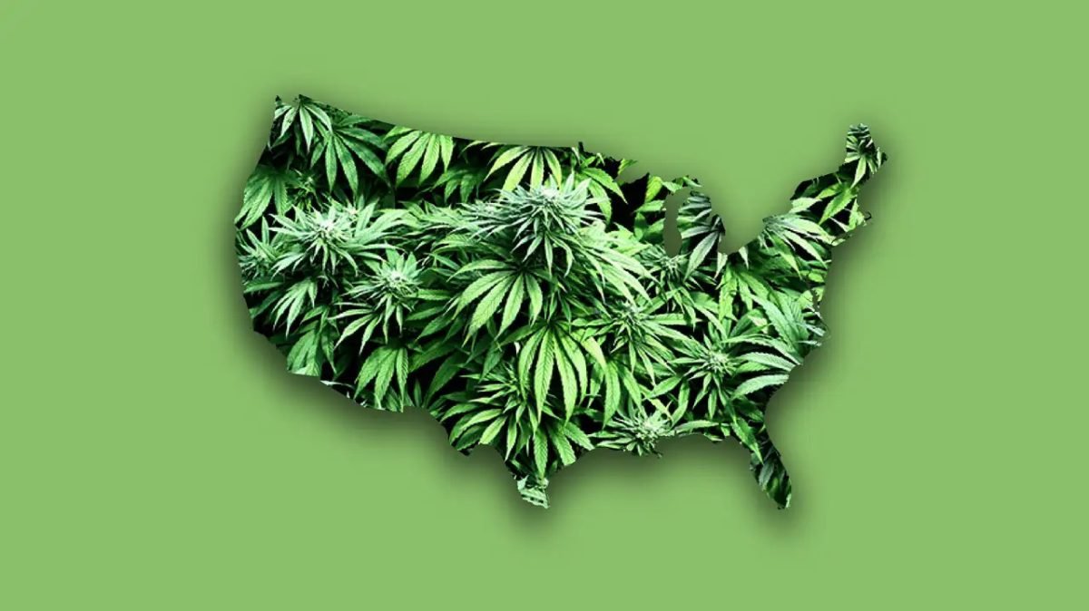 ganjavacations jamaica