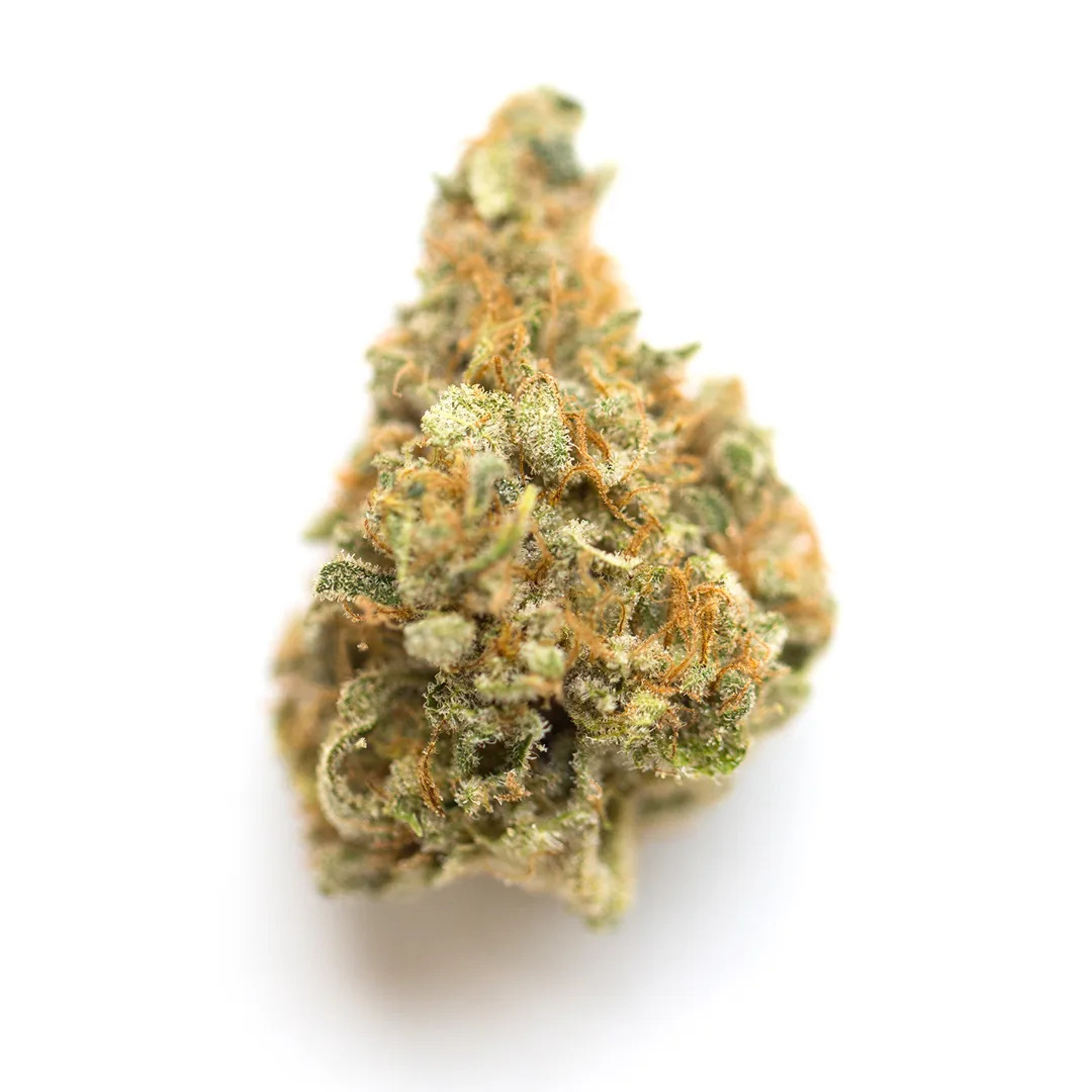 ganjavacations jamaica