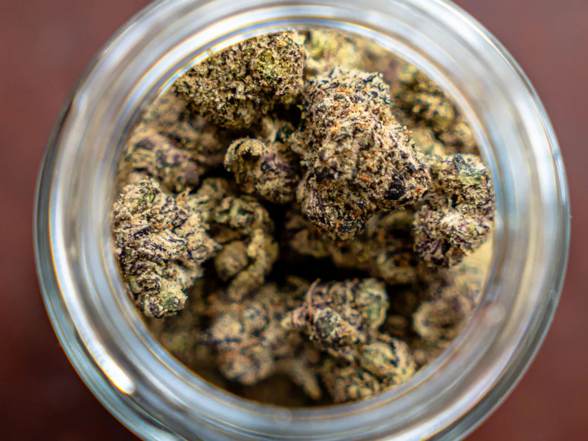 ganjavacations jamaica