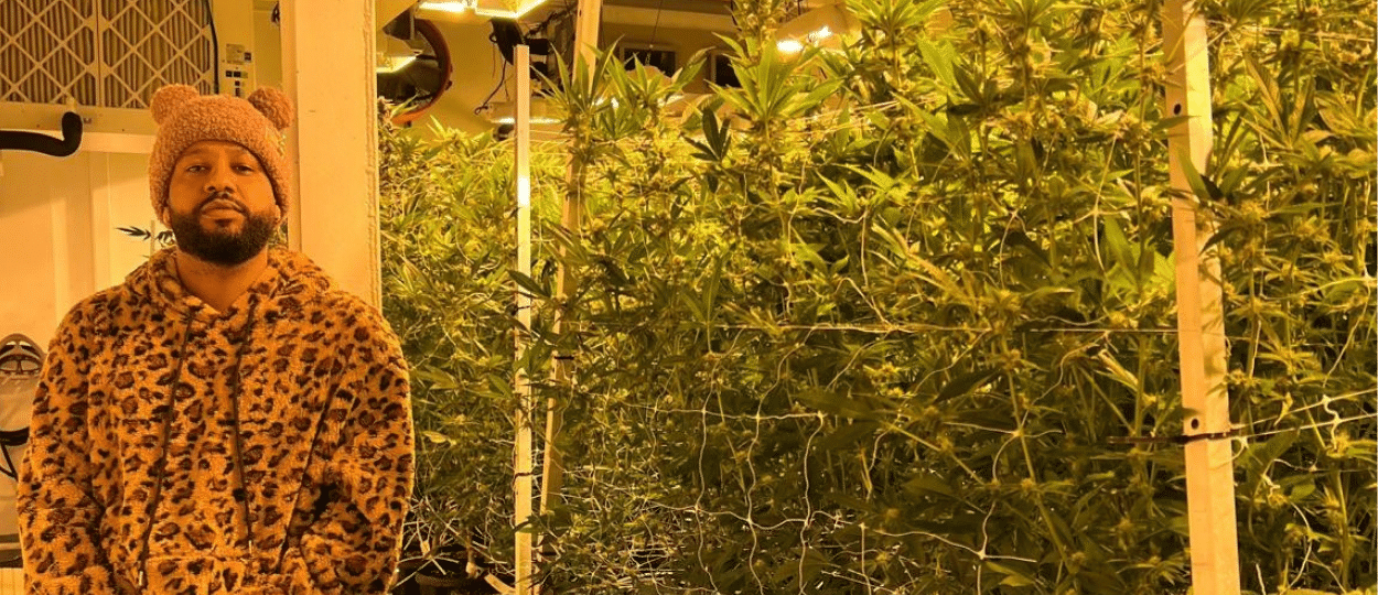 ganjavacations jamaica